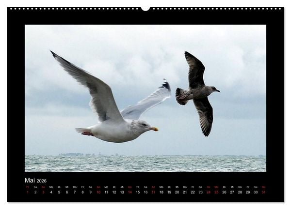 Produktbild: An der Nordsee (hochwertiger Premium Wandkalender 2026 DIN A2 quer), Kunstdruck in Hochglanz