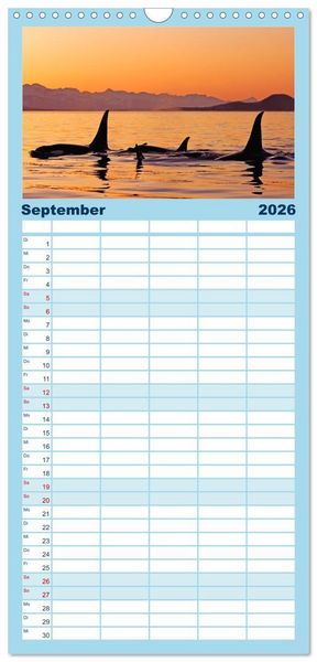Produktbild: Familienplaner 2026 - Orcas: Schwarz-wei&szlig;e Giganten mit 5 Spalten (Wandkalender, 21 x 45 cm) CALVENDO