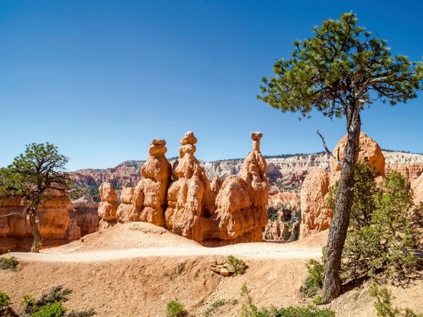 Produktbild: CALVENDO Puzzle BRYCE CANYON Wanderpfad durch die Felsformationen | 1000 Teile Lege-Gr&ouml;&szlig;e 64x48cm Foto-Puzzle f&uuml;r gl&uuml;ckliche Stunden