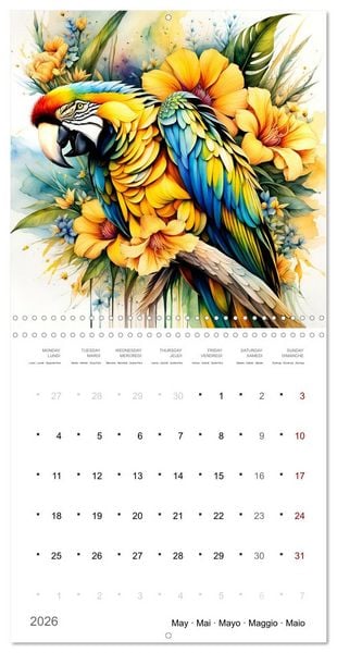Produktbild: Des perroquets color&eacute;s (Calendrier mural carr&eacute; 2026 30x30 cm) Calendrier double avec une page pour vos prises de notes