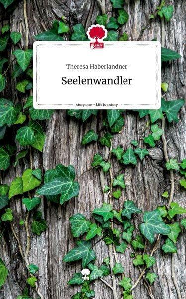Produktbild: Seelenwandler. Life is a Story - story.one
