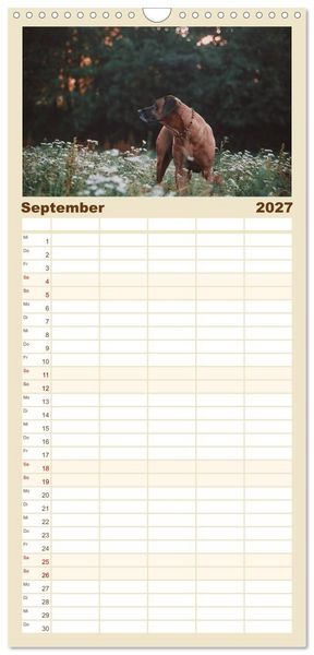 Produktbild: Familienplaner 2027 - Rhodesian Ridgeback - Herzen auf vier Pfoten mit 5 Spalten (Wandkalender, 21 x 45 cm) CALVENDO