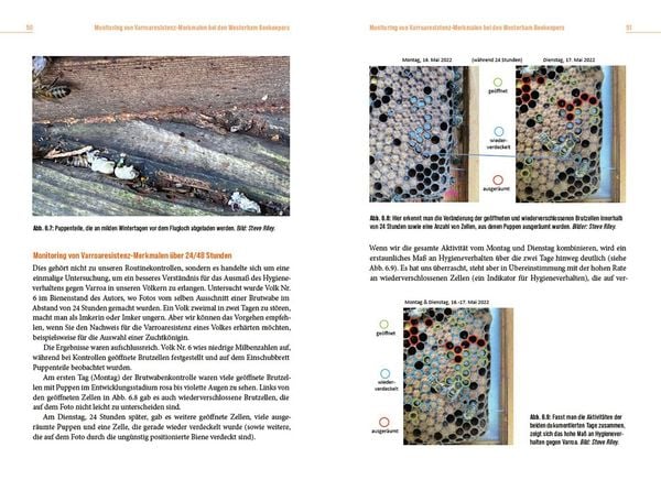 Produktbild: Die L&ouml;sung der Honigbiene f&uuml;r das Varroa-Problem