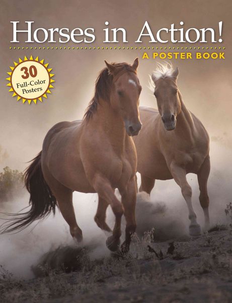 Produktbild: Horses in Action