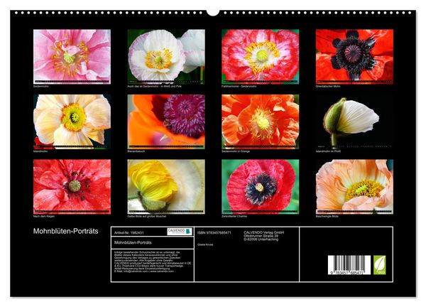 Produktbild: Mohnbl&uuml;ten-Portr&auml;ts (hochwertiger Premium Wandkalender 2026 DIN A2 quer), Kunstdruck in Hochglanz