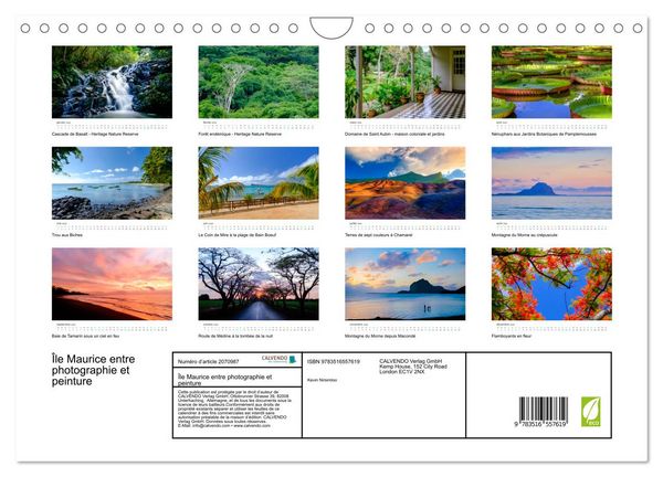 Produktbild: &Icirc;le Maurice entre photographie et peinture (Calendrier mural 2026 DIN A4 vertical), CALVENDO calendrier mensuel