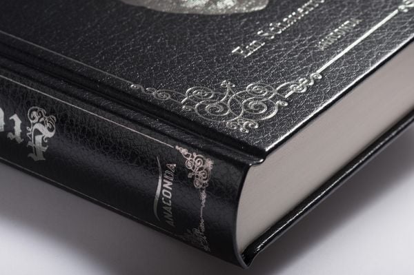 Mary Shelley, Frankenstein. Ein Schauerroman