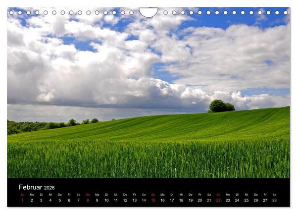 Produktbild: Pl&ouml;n - die Stadt am See (Wandkalender 2026 DIN A4 quer), CALVENDO Monatskalender