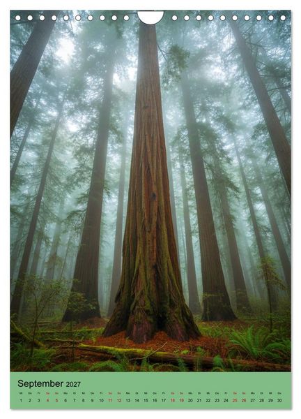 Produktbild: Sequoia Giganten (Wandkalender 2027 DIN A4 hoch), CALVENDO Monatskalender