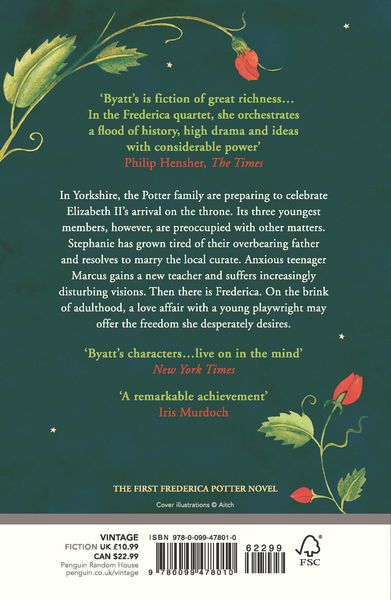 Produktbild: The Virgin in the Garden