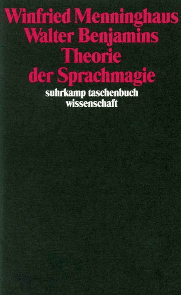 Produktbild: Walter Benjamins Theorie der Sprachmagie