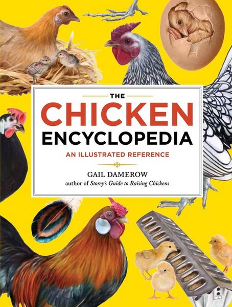 Produktbild: The Chicken Encyclopedia