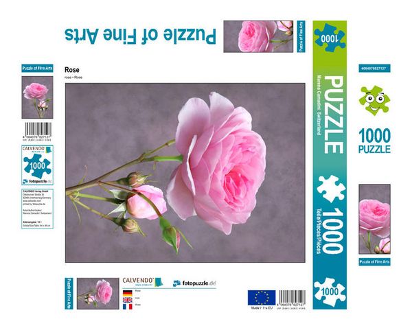 CALVENDO Puzzle Rose | 1000 Teile Lege-Größe 64x48cm Foto-Puzzle für glückliche Stunden