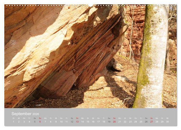 Produktbild: Felsen im Pf&auml;lzer Wald (Wandkalender 2026 DIN A2 quer), CALVENDO Monatskalender