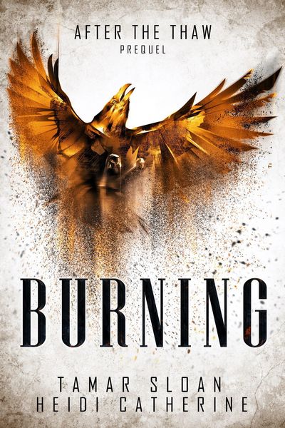 Produktbild: Burning: Prequel, After the Thaw