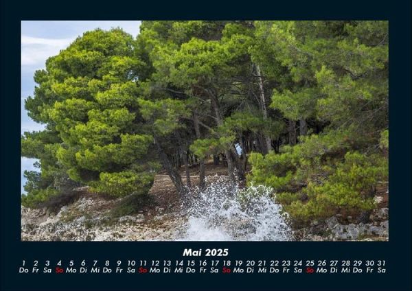 Produktbild: B&auml;ume 2025 Fotokalender DIN A4