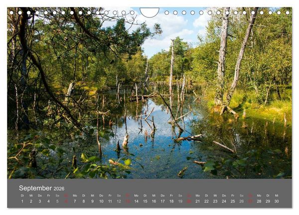 Produktbild: Moor- und Heidelandschaften Niedersachsen (Wandkalender 2026 DIN A4 quer), CALVENDO Monatskalender
