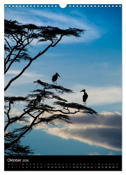 Produktbild: Wildes Afrika (Wandkalender 2026 DIN A3 hoch), CALVENDO Monatskalender