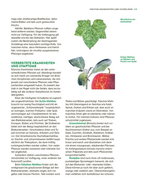 Produktbild: Das gro&szlig;e Gem&uuml;se- und Obstgartenbuch
