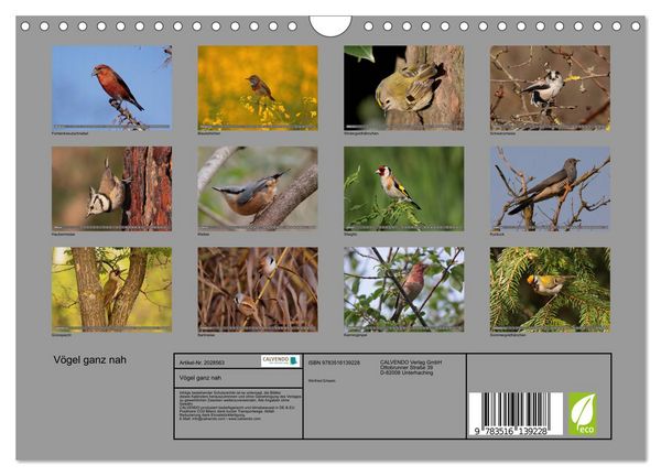 Produktbild: V&ouml;gel ganz nah (Wandkalender 2026 DIN A4 quer), CALVENDO Monatskalender
