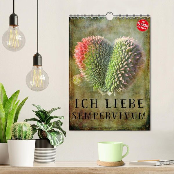 Produktbild: Ich liebe Sempervivum (Wandkalender 2026 DIN A4 hoch), CALVENDO Monatskalender