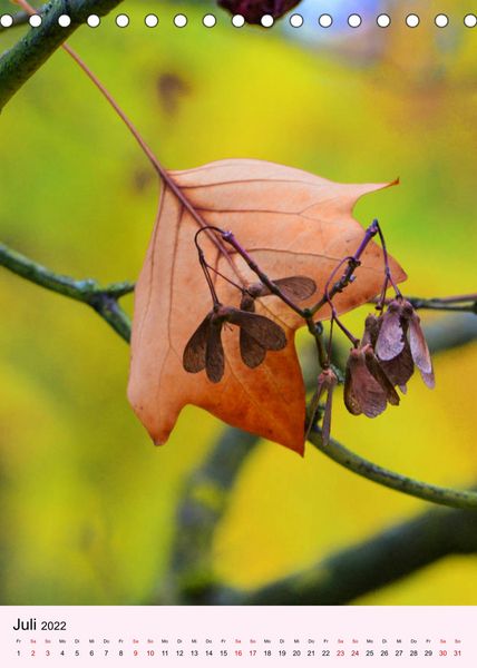 Produktbild: Lust auf Herbstfarben (Tischkalender 2022 DIN A5 hoch)