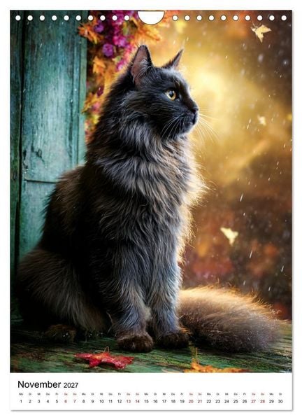 Produktbild: Von wegen Ungl&uuml;ck! - Die faszinierende Welt schwarzer Katzen (Wandkalender 2027 DIN A4 hoch), CALVENDO Monatskalender
