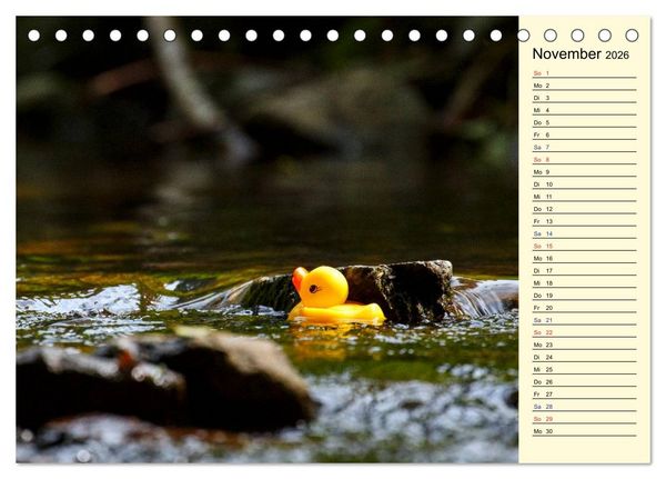 Produktbild: Enten-Rennen (Tischkalender 2026 DIN A5 quer), CALVENDO Monatskalender
