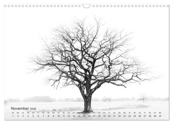 Produktbild: Landschaften und Natur 2026 (Wandkalender 2026 DIN A3 quer), CALVENDO Monatskalender