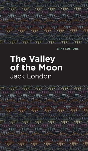 Produktbild: The Valley of the Moon