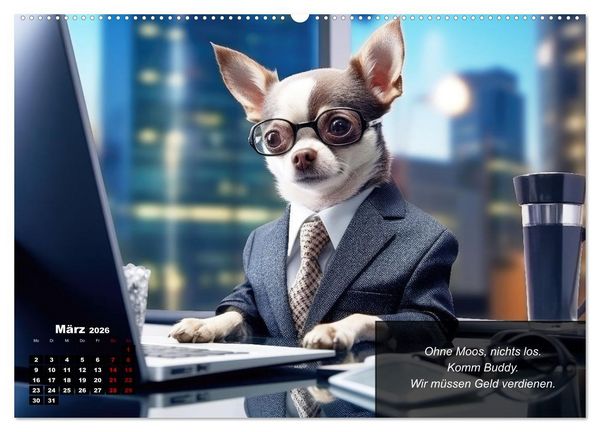 Produktbild: Lustige Chihuahua-Momente (Wandkalender 2026 DIN A2 quer), CALVENDO Monatskalender