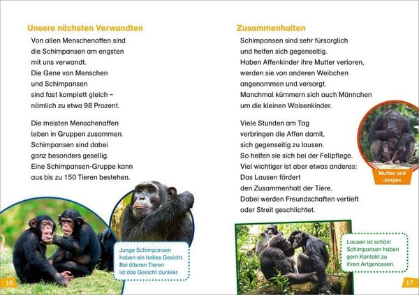 Produktbild: WAS IST WAS Erstes Lesen Band 22. Menschenaffen