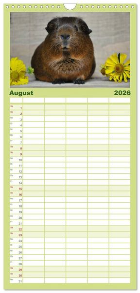 Produktbild: Familienplaner 2026 - Meerschweinchen Niedliche Herzensbrecher mit 5 Spalten (Wandkalender, 21 x 45 cm) CALVENDO