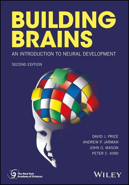 Produktbild: Building Brains