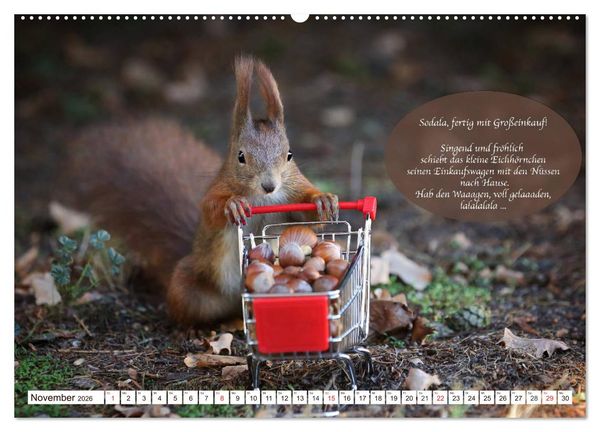 Produktbild: Eichh&ouml;rnchen - Lustige Kurzgeschichten mit den quirligen Wildtieren (Wandkalender 2026 DIN A2 quer), CALVENDO Monatskalender