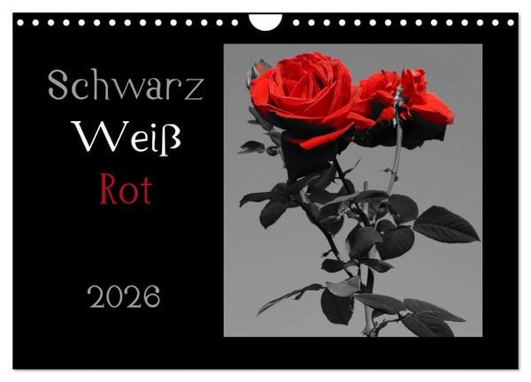 Produktbild: Schwarz-Wei&szlig;-Rot (Wandkalender 2026 DIN A4 quer), CALVENDO Monatskalender