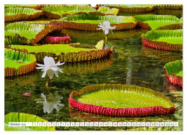 Produktbild: Mauritius - Sch&ouml;nheit im Indischen Ozean (hochwertiger Premium Wandkalender 2026 DIN A2 quer), Kunstdruck in Hochglanz