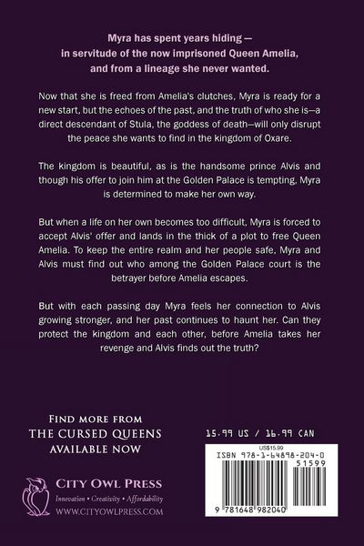 Produktbild: The Shadow's Heir