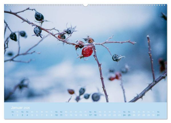 Produktbild: Zeitenwandel - Ein Jahr in der Natur (hochwertiger Premium Wandkalender 2026 DIN A2 quer), Kunstdruck in Hochglanz
