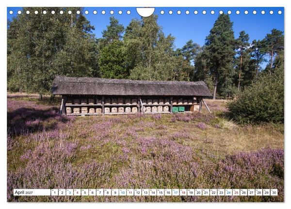 Produktbild: L&uuml;neburger Heide &ndash; Im Wandel der Jahreszeiten (Wandkalender 2027 DIN A4 quer), CALVENDO Monatskalender