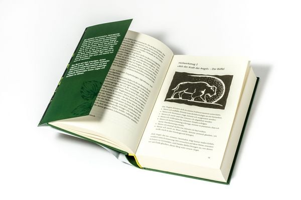 Produktbild: Heilung aus der Tiefe