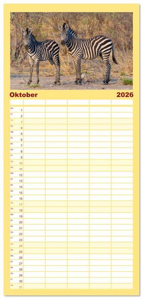 Produktbild: Familienplaner 2026 - Zebras in Afrika mit 5 Spalten (Wandkalender, 21 x 45 cm) CALVENDO