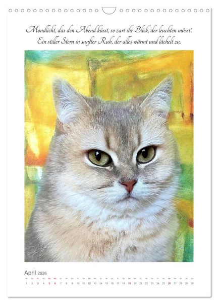 Produktbild: Katzenlyrik - Zw&ouml;lf Seelen auf Samtpfoten in Wort und Bild (Wandkalender 2026 DIN A3 hoch), CALVENDO Monatskalender