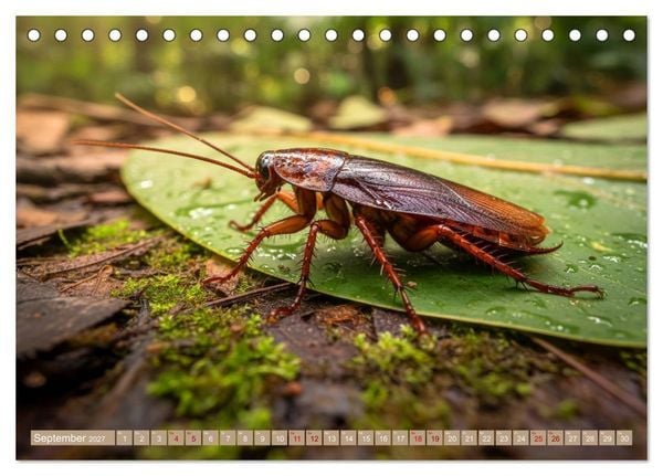 Produktbild: Gruseltiere (Tischkalender 2027 DIN A5 quer), CALVENDO Monatskalender