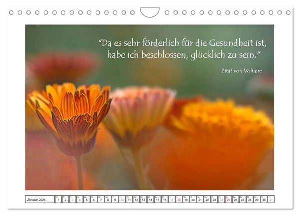 Produktbild: Zitate - Sammlung (Wandkalender 2026 DIN A4 quer), CALVENDO Monatskalender
