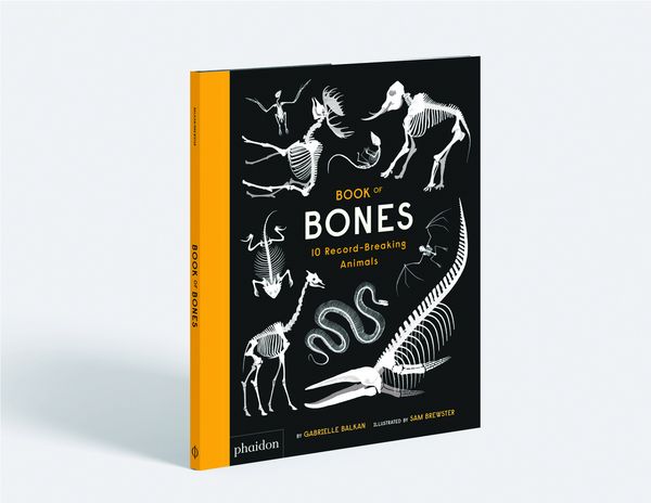 Produktbild: Book of Bones
