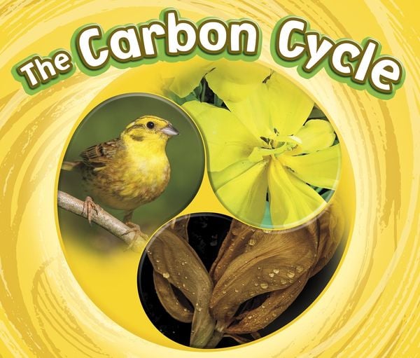 Produktbild: Carbon Cycle