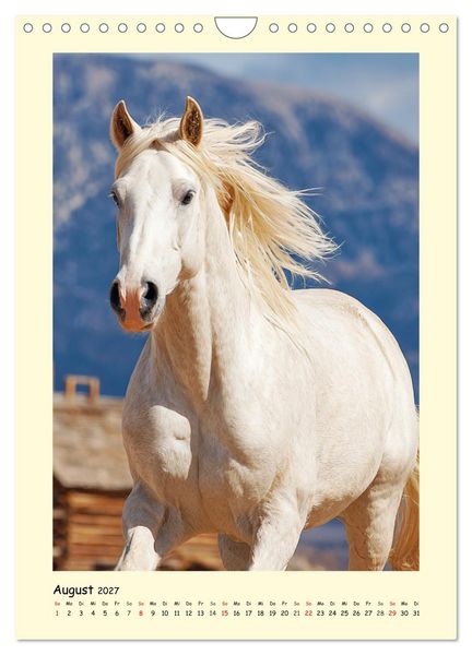 Produktbild: Westernpferde. Quarter Horse und Paint Horse auf dem Farmland (Wandkalender 2027 DIN A4 hoch), CALVENDO Monatskalender
