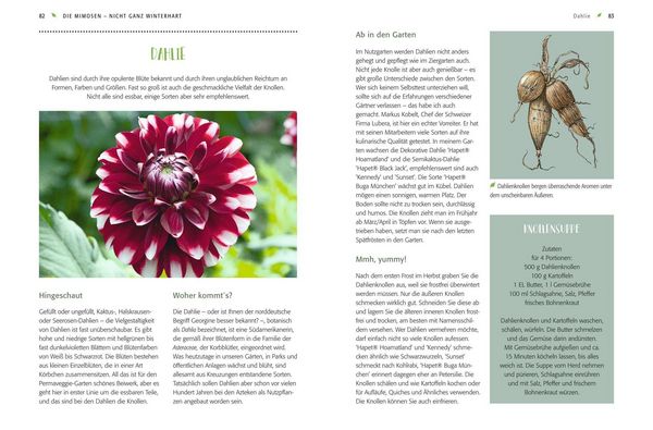 Produktbild: Gem&uuml;se forever!