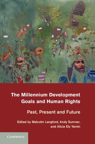 Produktbild: Millennium Development Goals and Human Rights